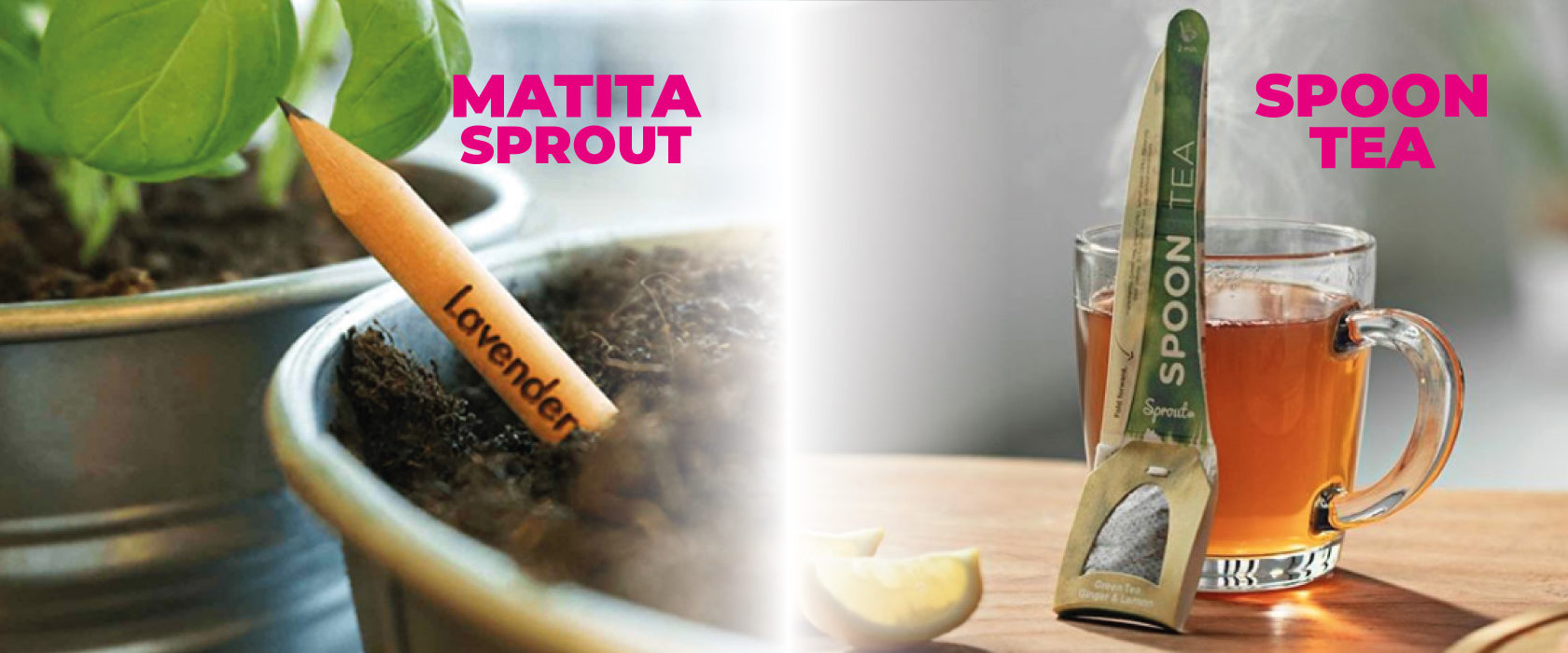 Matita Sprout